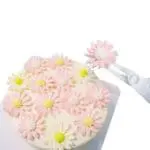 BSI 208 (5)Cake Flower Lifter (Scissor) with Nail Set | Cupcake Icing Flower Lifters | Cake Cupcake Decor | BSI 208
