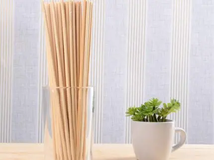 Bamboo Skewer | 10*2.5mm Bamboo Skewer | 70 pcs/bag | SHAGUN 01
