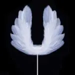 Angel Feathers Cake Toppers | bsi 750