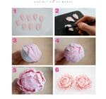 BakeGuru Cake Decor 4Pcs Peony Flower Shape Plastic Fondant Cookie Cutters | BSI 471