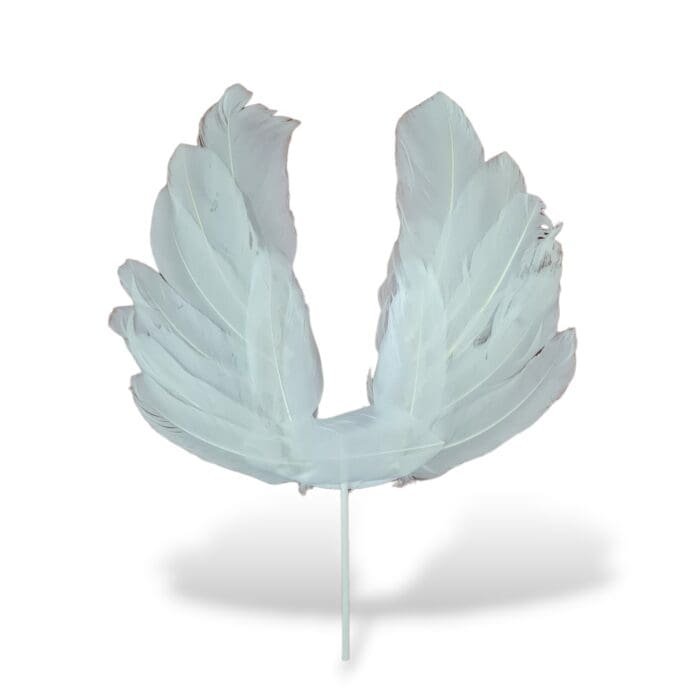 Angel Feathers Cake Toppers | bsi 750