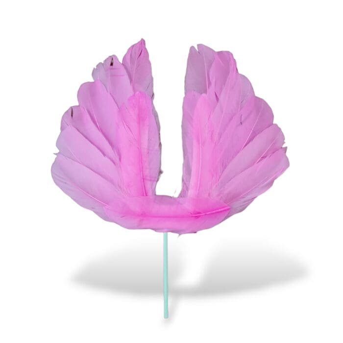 Angel Feathers Cake Toppers | bsi 750