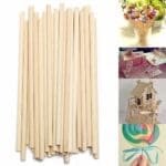 Wooden Lollipop Stick, Wooden Dowel Rods 8mm 9 inch | Shagun 28