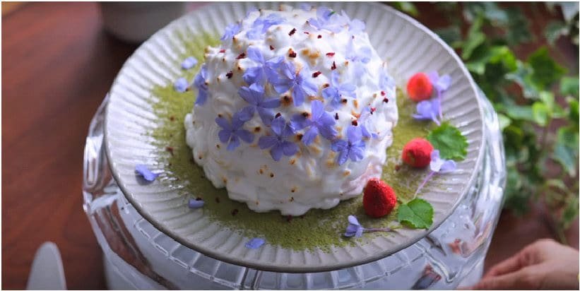 Vegan Baked Alaska: Lighter Than Air, Guilt-Free